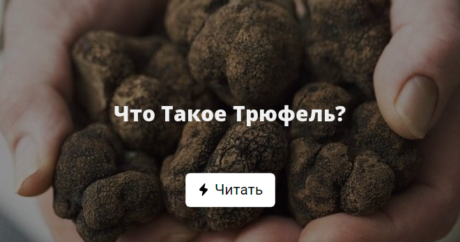 Что Такое Трюфель?