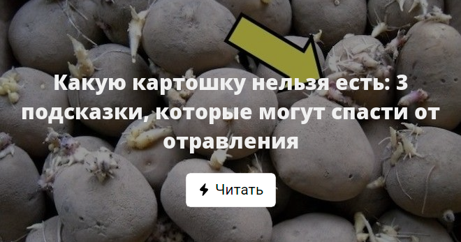 Какую картошку нельзя есть CoffMachines.ru
