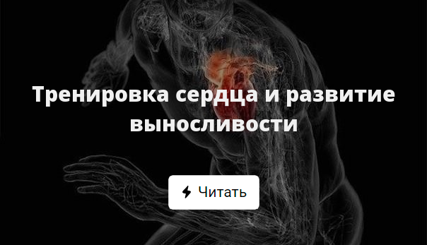 ������������ ������ ������: ����.