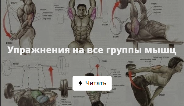 Упражнения на все группы мышц