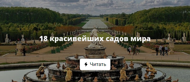 Садов Фото С Названиями