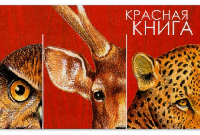 Галерея картинка красная книга картинка красная книга