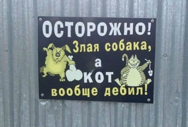Черновик