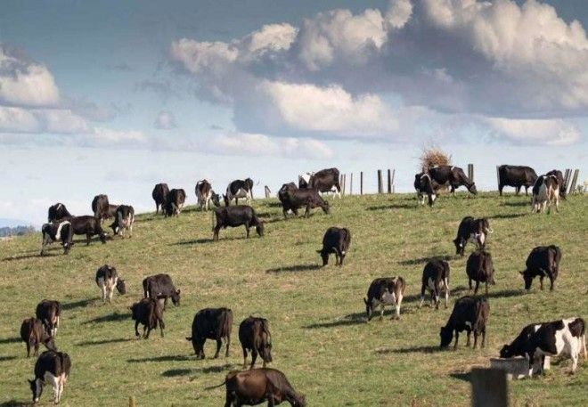 В каких странах самый долгих рабочий день