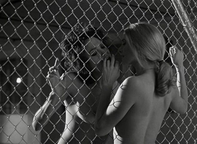 Лесбийский Поцелуй Оливии Уайлд И Эшли Грин – Как По Маслу (2011)