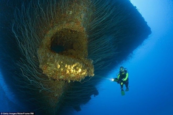 Ужасы морских глубин опасности которые таит в себе океан