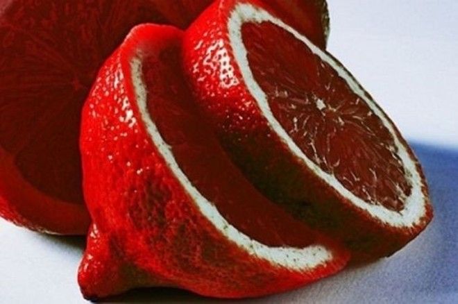 16 чудес скрещивания фруктов и ягод