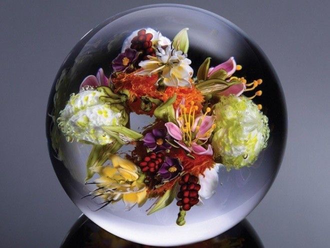 Восхитительные стеклянные цветы Пола Стэнкарда