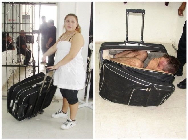нелегалы в чемодане