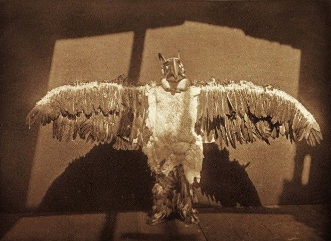 Буревестник Танцор в таком костюме издавал грохочущий звук во время взмаха крыльями