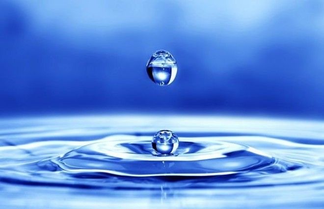 Водопроводная бутилированная фильтрованная какую воду стоит пить