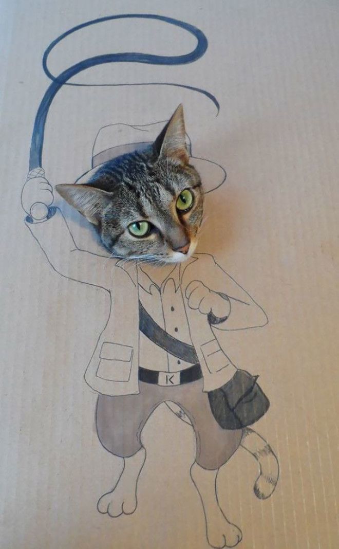 「cardboard cat」の画像検索結果