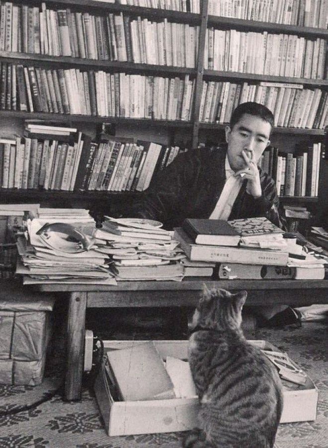 18 замечательных фотографий котиков у которых были свои писатели и поэты