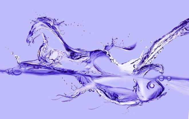 гомеопатия Память воды