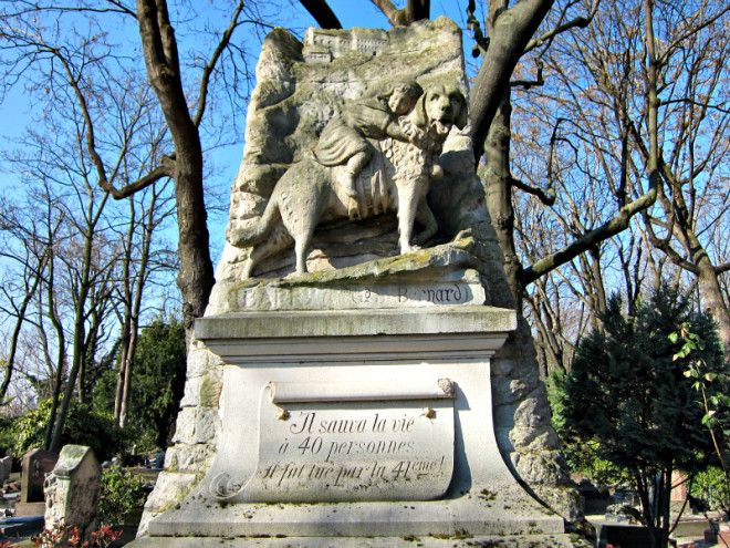 Памятник сенбернару Барри