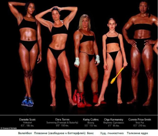 Lак выглядят тела олимпийских спортсменов в зависимости от вида спорта