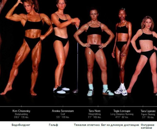 Lак выглядят тела олимпийских спортсменов в зависимости от вида спорта