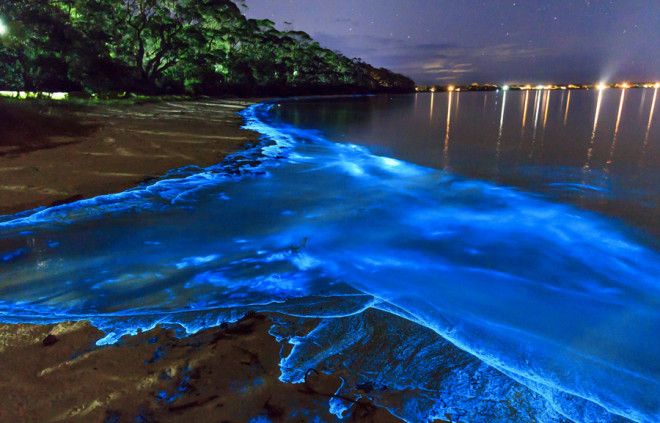 Ваадху Мальдивские острова В водах вблизи острова обитают одноклеточные динофлагелляты Механические силы волн вызывают у них электроимпульс запускающий биолюминесцентную реакцию в результате которой в темное время вода испускает голубоватый свет