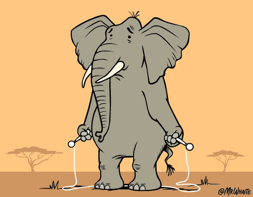 Картинки по запросу Почему слоны не умеют прыгать