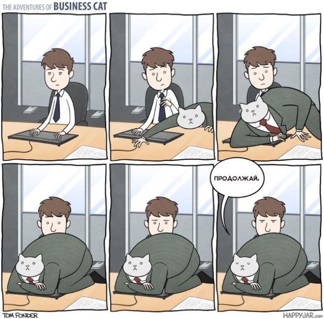 Если бы ваш босс был бы котом