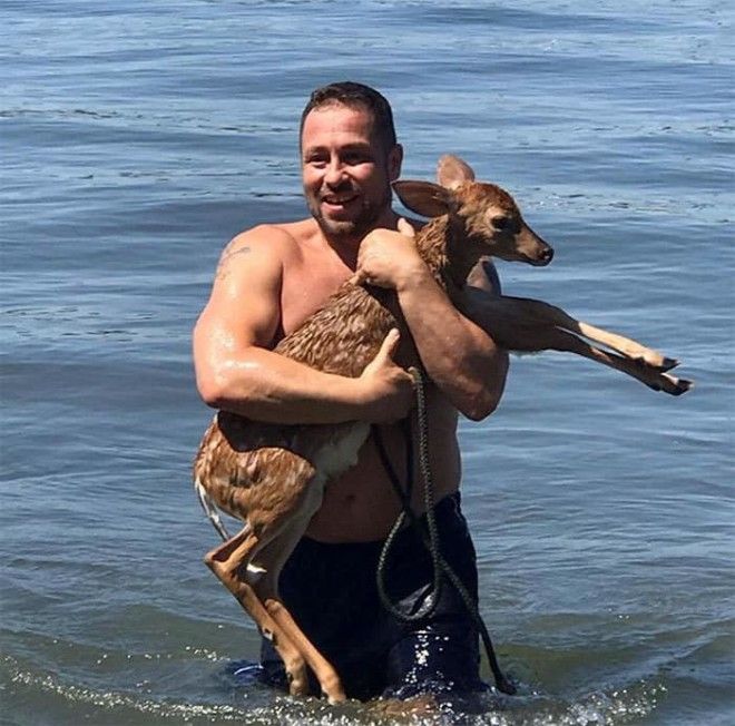 Этот пес рискуя жизнью бросился в воду и вот что он вытащил на берег 