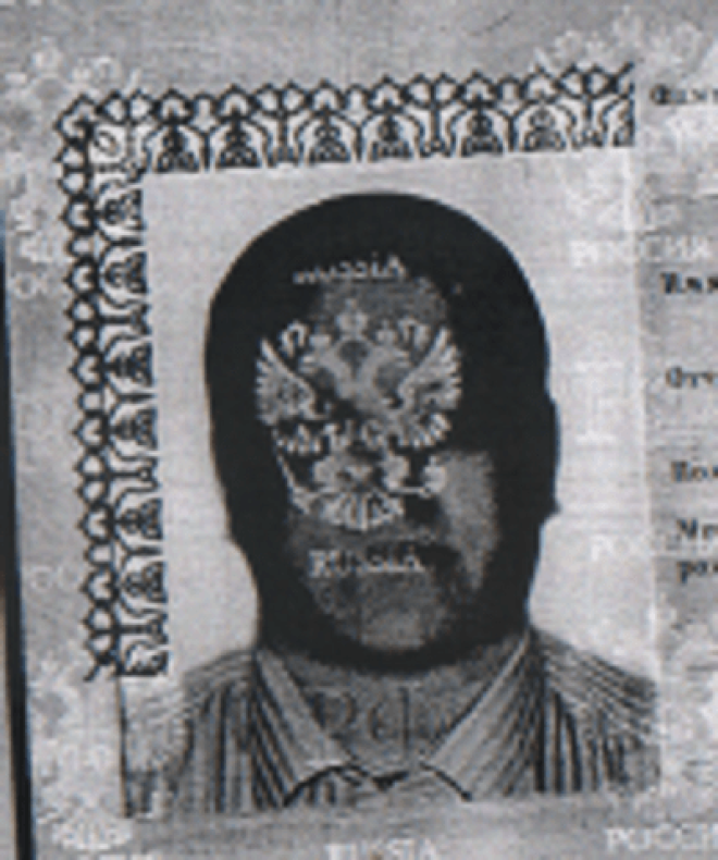 12 ксерокопий фото в паспорте которые похожи на постеры к фильмам ужасов