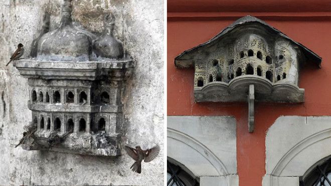 Роскошные дворцы для птиц в Турции