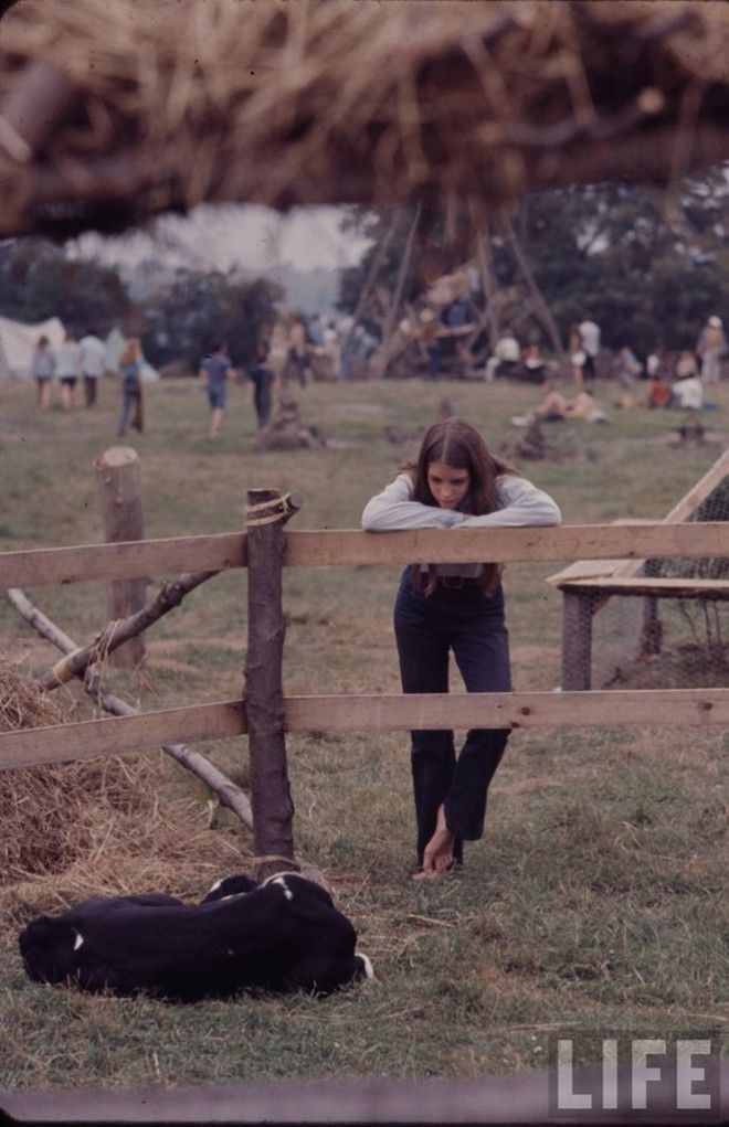 80 уникальных фотографий Вудсток 1969 года на снимках журнала LIFE