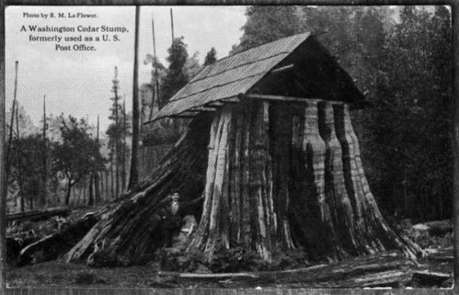 Необычные жилища американских поселенцев XIX века 