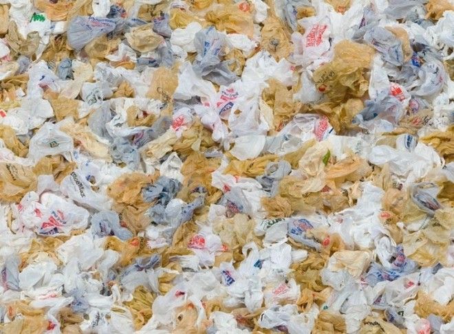 опасные бытовые отходы утилизация опасных отходов не следует выбрасывать в мусорное ведро
