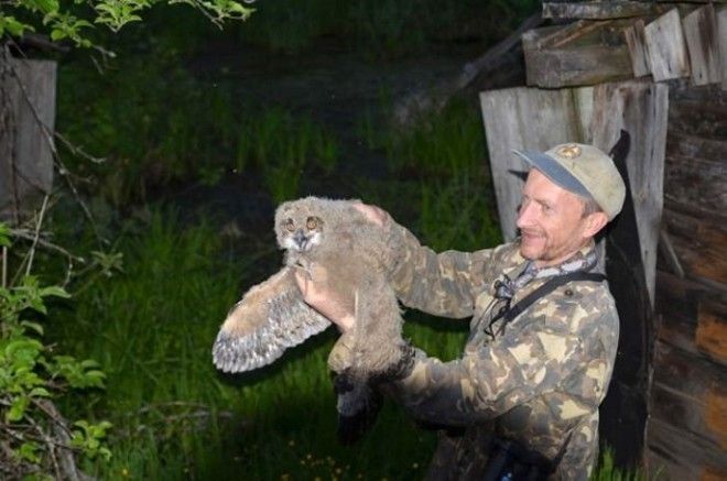 15 фото животных которые вновь обживают Чернобыль