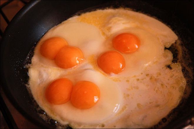 Картинки по запросу Почему в яйце бывает два желтка
