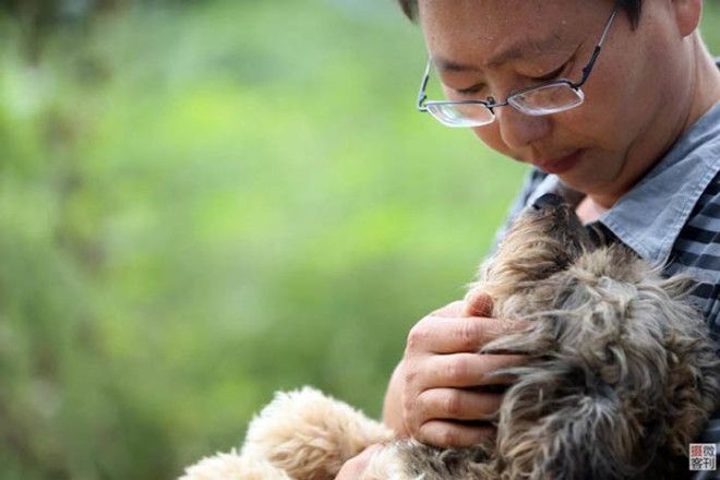 Как парень из Китая смог спасти более 700 собак