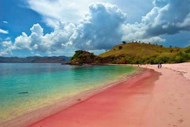 Розовый пляж Комодо