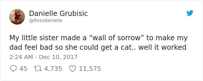 стена скорби чтобы завести кошку девочка сделала стену скорби девочка выпросила кошку как выпросить завести кошку