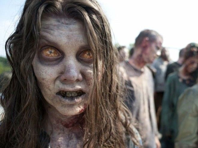 Картинки по запросу 10 фактов о зомби в реальном мире