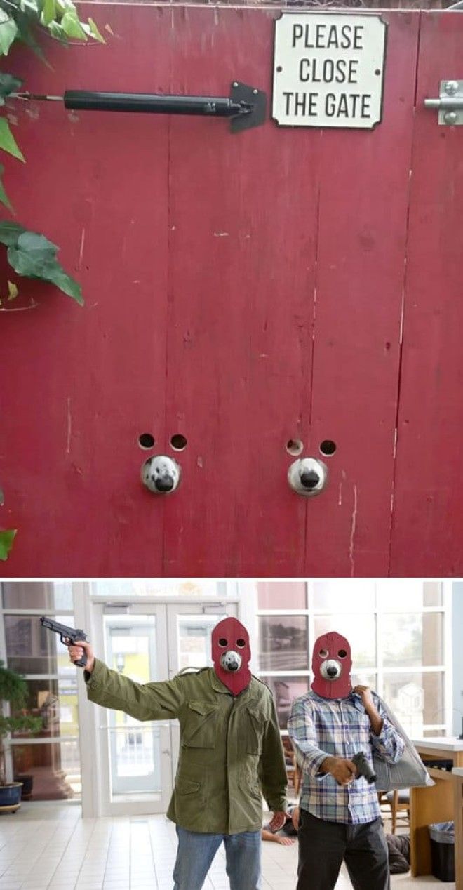 This Dog-Friendly Gate