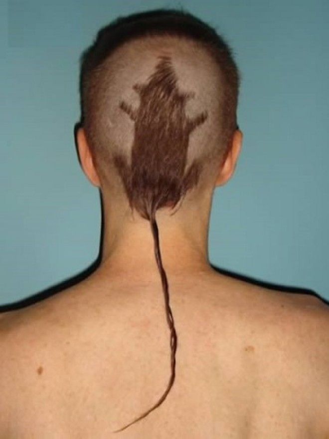 SНе ссорься с парикмахером 15 самых адовых причесок в мире