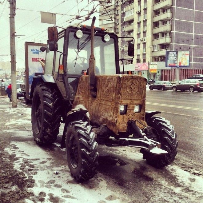 Его ворсейшество: забавные лайфхаки с коврами