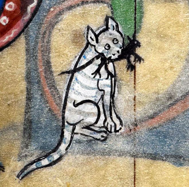 S15 средневековых рисунков котов которые доведут вас до истерики