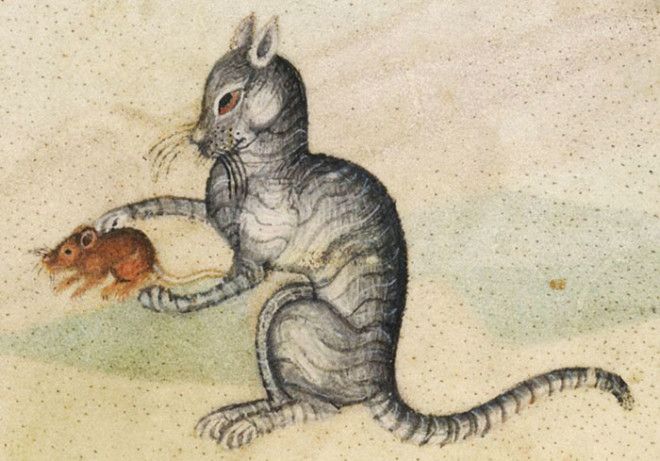 S15 средневековых рисунков котов которые доведут вас до истерики