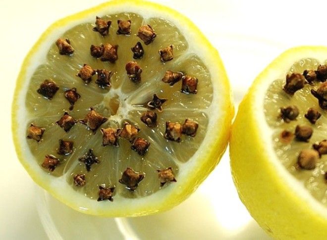 Лимон с гвоздикой отличное натуральное средство от комаров