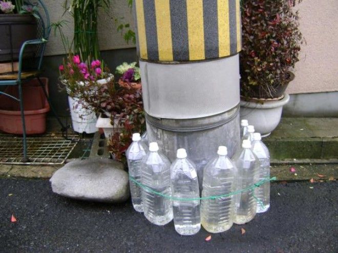 SЗачем японцы ставят бутылки с водой возле своих домов Ответ удивит многих