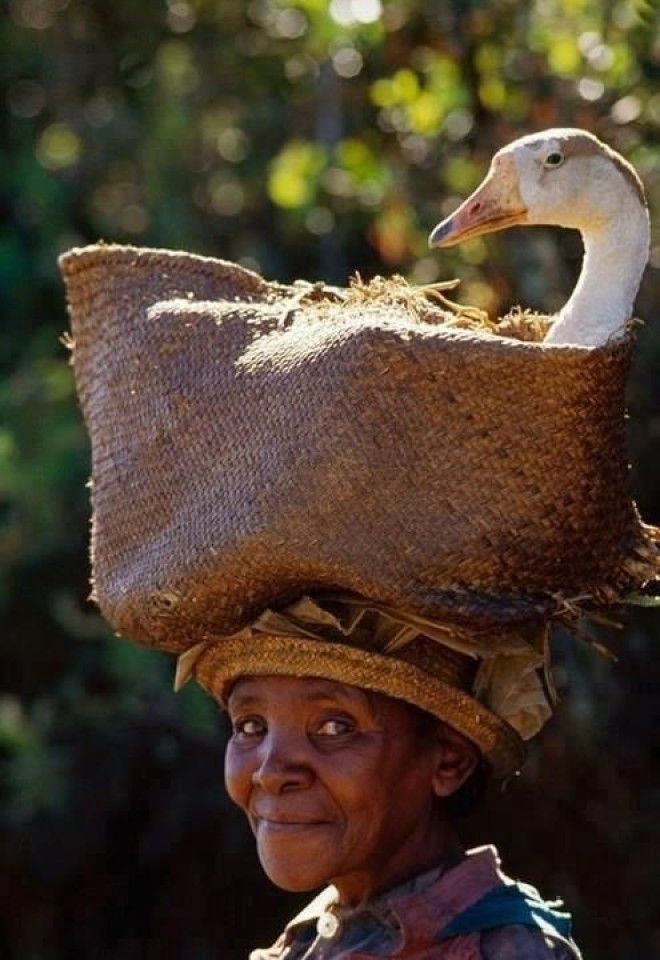 B20 снимков женщин южных племен и народов с огромными грузами на голове