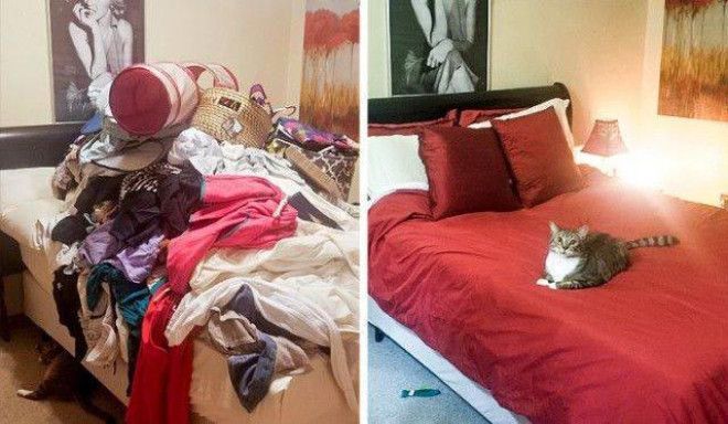 вещи до и после мойки вещи после того как их отмыли комната после уборки комната до и после уборки