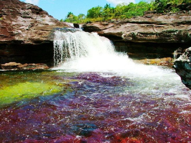 Каньо Кристалес – самая красивая река на Земле