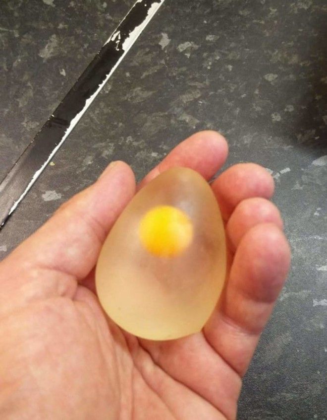7 Так выглядит сырое яйцо без оболочки еда овощи прикол фото фрукты