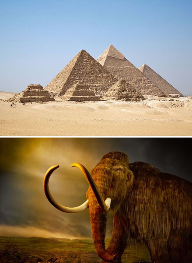 Мамонты и пирамиды