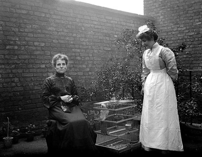 Миссис Диксон и Элис позируют рядом с клеткой с попугаем Лондон