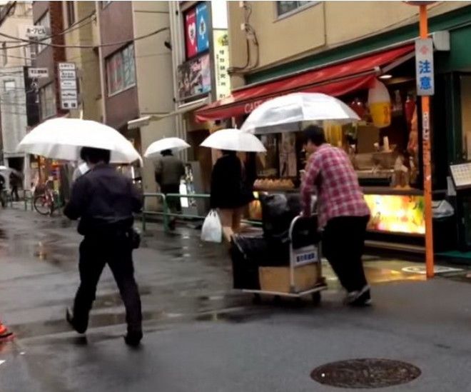 Прозрачные зонты очень популярны в Японии